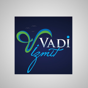 vadiizmit
